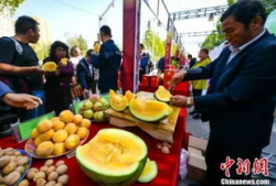 最新吃瓜爆料免费观看红领巾,最新吃瓜爆料，免费观看独家内容！